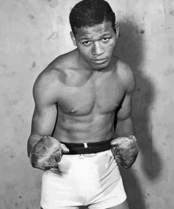 The Boxer Sugar Ray Robinson Paint by number