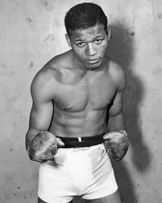 The Boxer Sugar Ray Robinson Paint by number