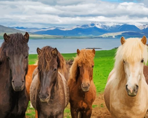 The Icelandic Horses paint by number