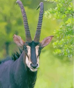 The Sable Antelope Animal paint by number