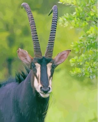 The Sable Antelope Animal paint by number