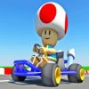 Toad Mario Kart Game paint by number