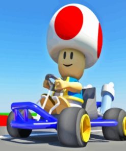 Toad Mario Kart Game paint by number