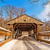 Toledo Ohio Wildwood Metropark Covered Bridge paint by number