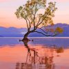 Wanaka Lake View At Sunrise Paint by number