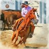 Western Cowgirl With Horse Abstract paint by number