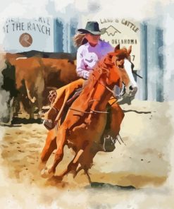 Western Cowgirl With Horse Abstract paint by number