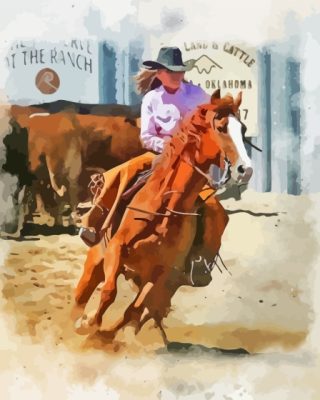 Western Cowgirl With Horse Abstract paint by number