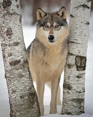 Wolf Among Birches Trees paint by number