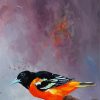 Aesthetic Baltimore Oriole paint by number