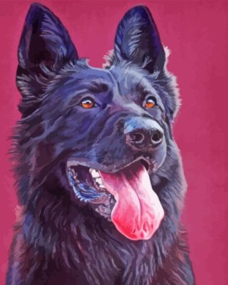 Aesthetic Black Shepherd paint by number