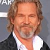 Aesthetic Jeff Bridges paint by number