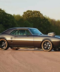 Black Classic Firebird paint by number