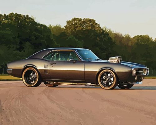 Black Classic Firebird paint by number