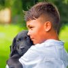 Boy And Black Labrador Retriever paint by number