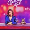 Call Me Kat Poster paint by number