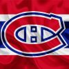 Canadien Montreal Hockey Logo paint by number