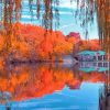 Central Park New York Autumn Paint by number