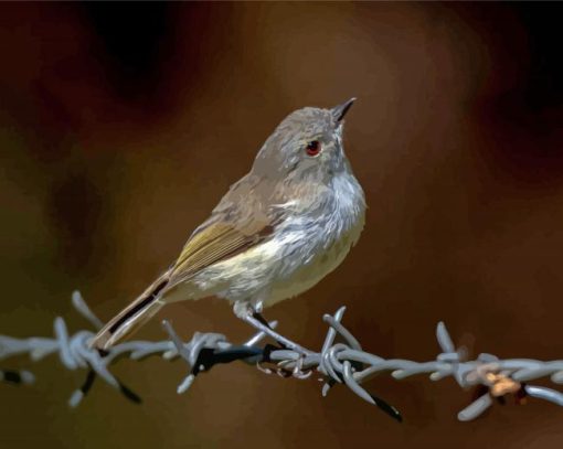 Cool Grey Warbler paint by number