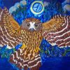 Cool Morepork paint by number