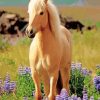 Cute Palomino Horse paint by number