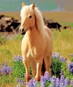 Cute Palomino Horse paint by number