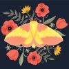 Cute Rosy Maple Moth paint by number