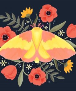 Cute Rosy Maple Moth paint by number