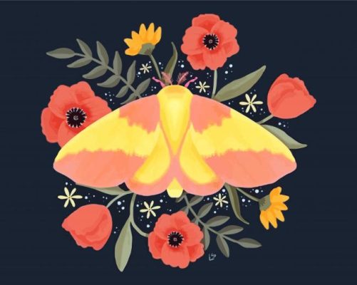 Cute Rosy Maple Moth paint by number