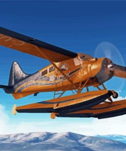 De Havilland Canada DHC2 Beaver Airplane paint by number