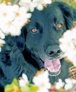 Flat Coated Retriever Cute Dog paint by number