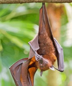 Giant Golden Crowned Flying Fox Hanging In Tree Paint by number