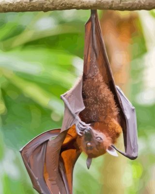 Giant Golden Crowned Flying Fox Hanging In Tree Paint by number