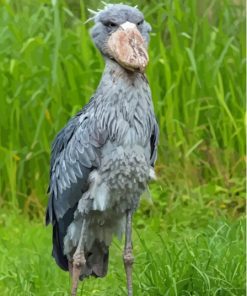 Grey Shoebill paint by number