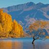 Lake Wanaka Fall Landscape Paint by number