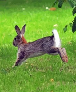 Leaping Rabbit Paint by number