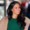 Meghan Markle Duchess Of Sussex paint by number