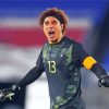 Memo Ochoa Footballer paint by number