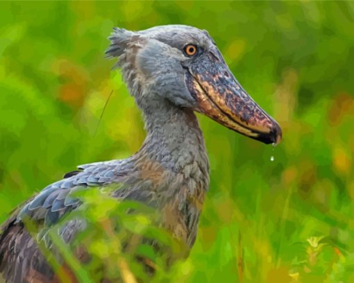 Shoebill Bird paint by number