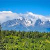 Snowy Denali Mountains Landscape paint by number