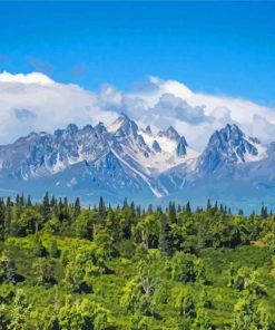 Snowy Denali Mountains Landscape paint by number