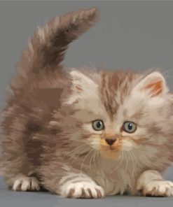 Tabby Persian Kitten paint by number