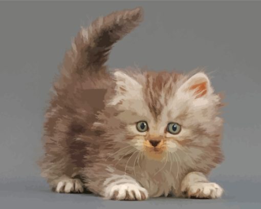 Tabby Persian Kitten paint by number