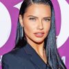 The Brazilian Model Adriana Lima paint by number