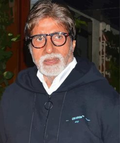 The Indian Actor Amitabh Bachchan paint by number