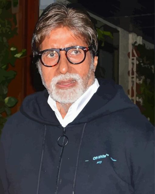 The Indian Actor Amitabh Bachchan paint by number