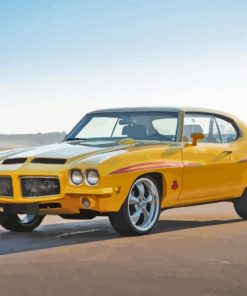 Yellow 1971 Gto Judge Car paint by number