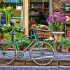 Green Bicycle At Flowers Shop By Painting With Number