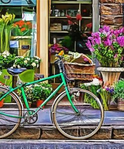 Green Bicycle At Flowers Shop By Painting With Number