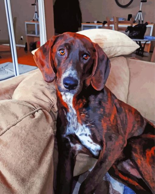 Black And Brown Plott Hound paint by number